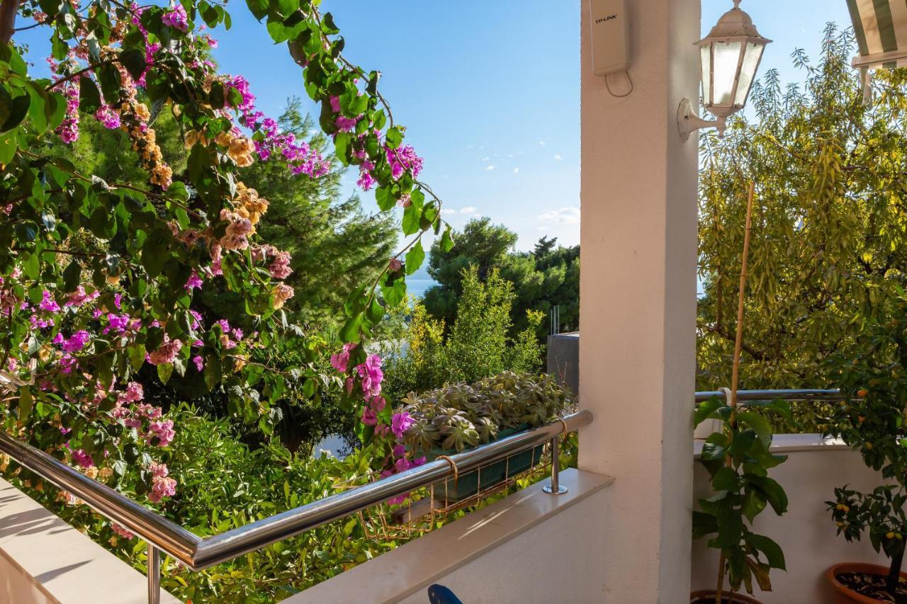 Villa Marko Stanici Buitenkant foto
